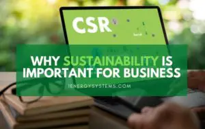 Why Sustainability Is Important For Business?