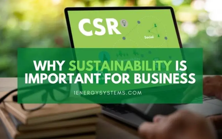 Why Sustainability Is Important For Business?