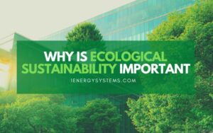 Why Is Ecological Sustainability Important?